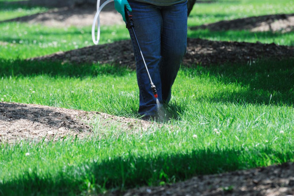 Weed Control and Mapping