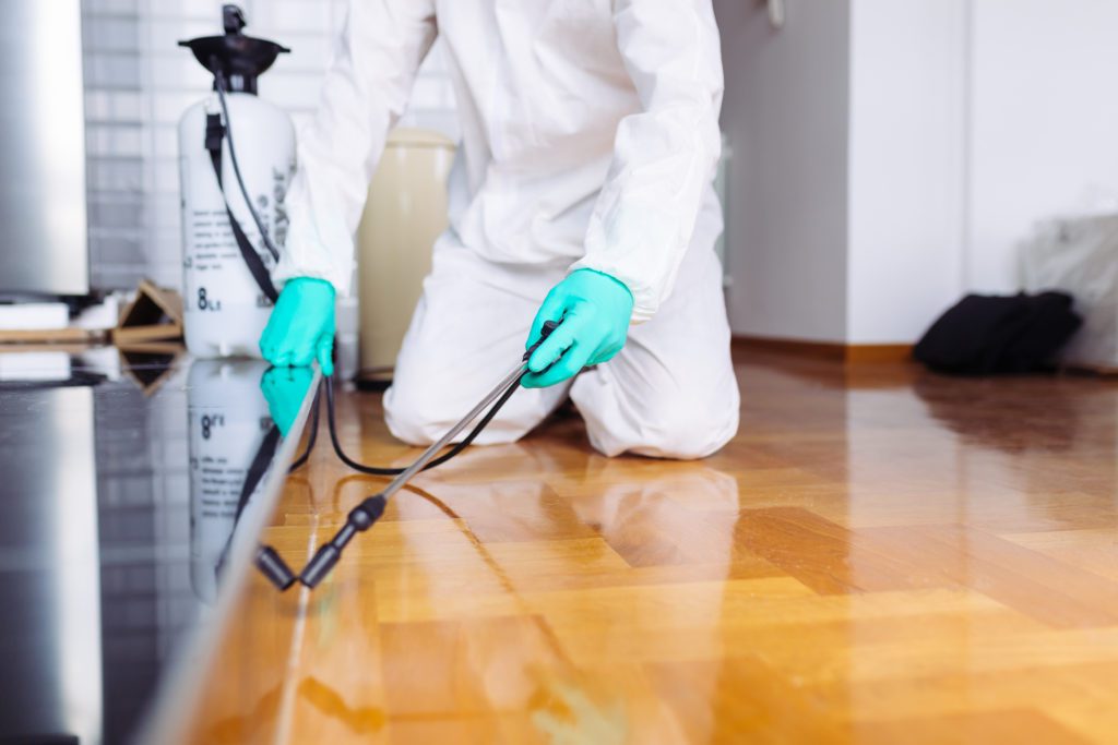 Residential Pest Control Perth