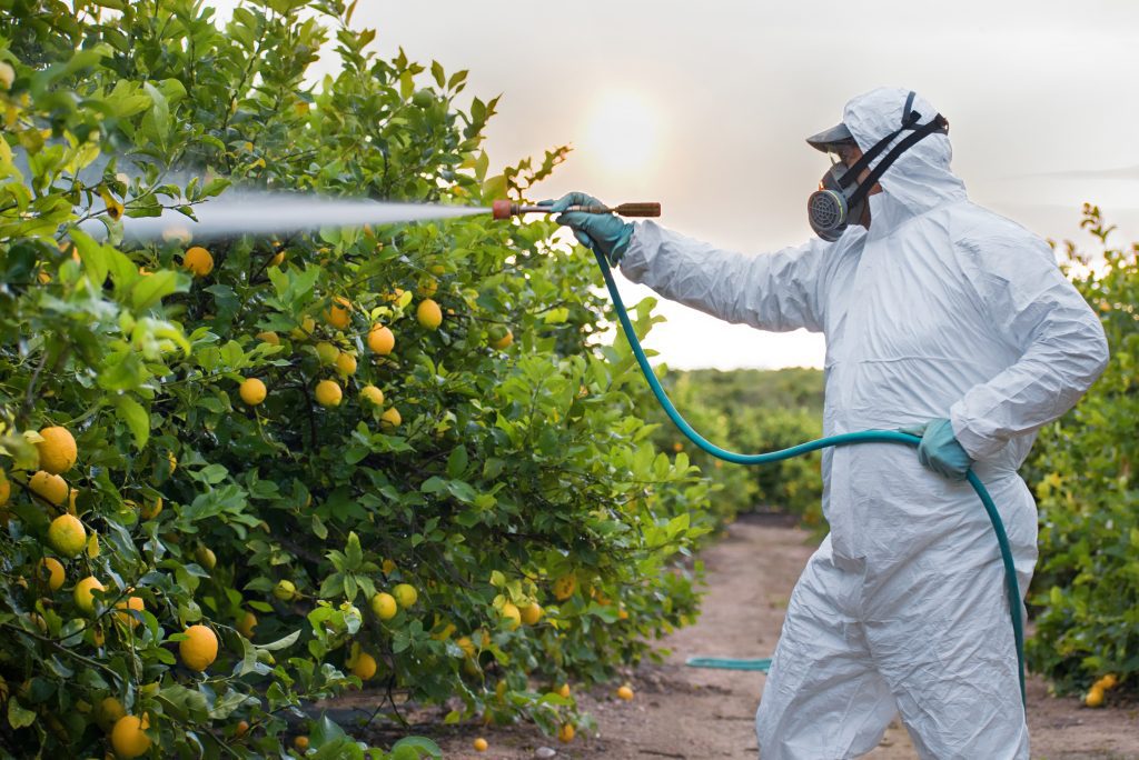 Fumigation Services